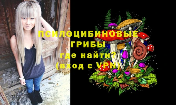 кокс Абаза