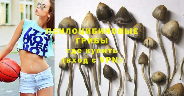 кокс Абаза