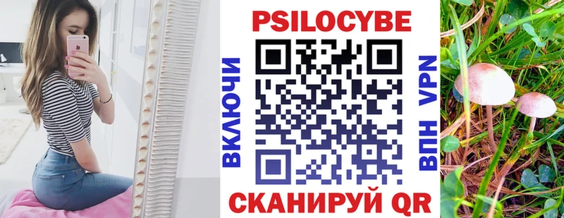 Галлюциногенные грибы Cubensis  Александровск 